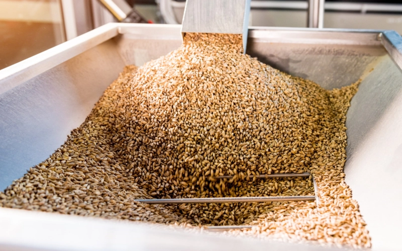 Топ 5 причин обрати зерносушарки Strahl для агробізнесу