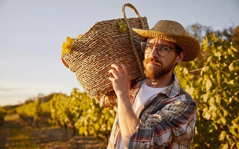 Защита спины и коленей агрономов Защита спины и коленей агрономов