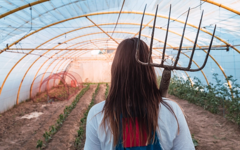 Отопление теплиц твердотопливными котлами: экономия для аграриев