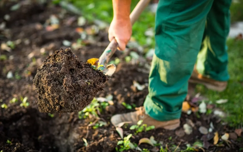 Осіннє підживлення ґрунту, як підготувати землю до зими