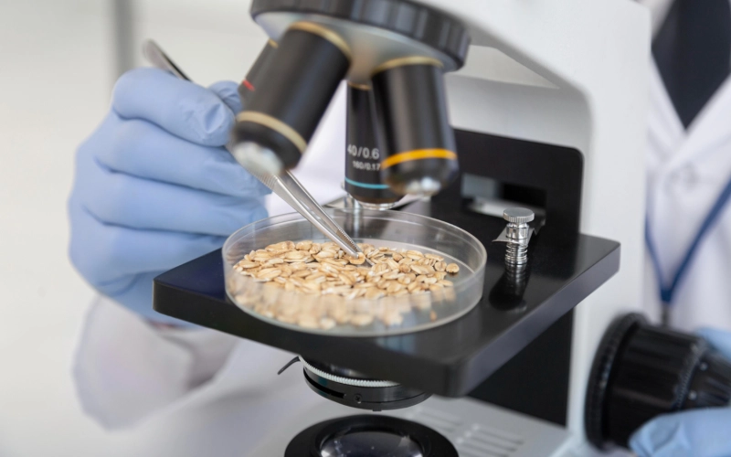 Определение качества зерна в лабораторных условиях и особенности оборудования