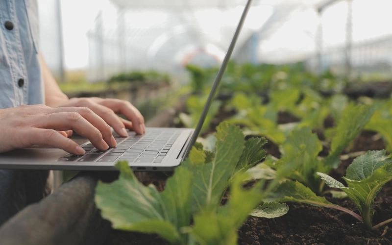 Почему автоматизация учета — это стратегическое преимущество для малого ФХ?