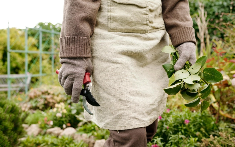 Какие режимы стирки удобны для одежды после работы с землей, рассадой и удобрениями