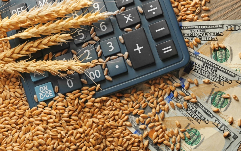 Сколько стоит РКО в 2026 году для сельхозбизнеса: как рассчитать реальную стоимость тарифа