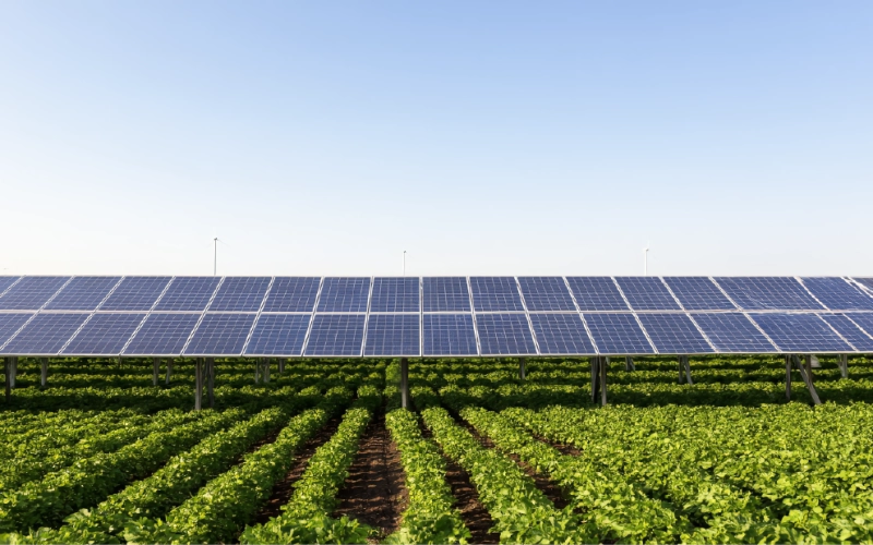 Розвиток агровольтаїки в Україні