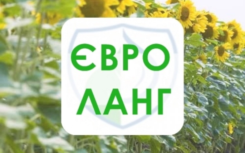Что выбрать Евро Ланг или Евро Ленд?