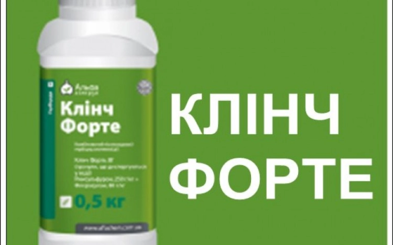 Стоит ли применять гербицид Клинч Форте на кукурузе?