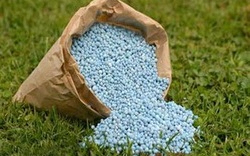 Минеральные удобрения: польза или вред?