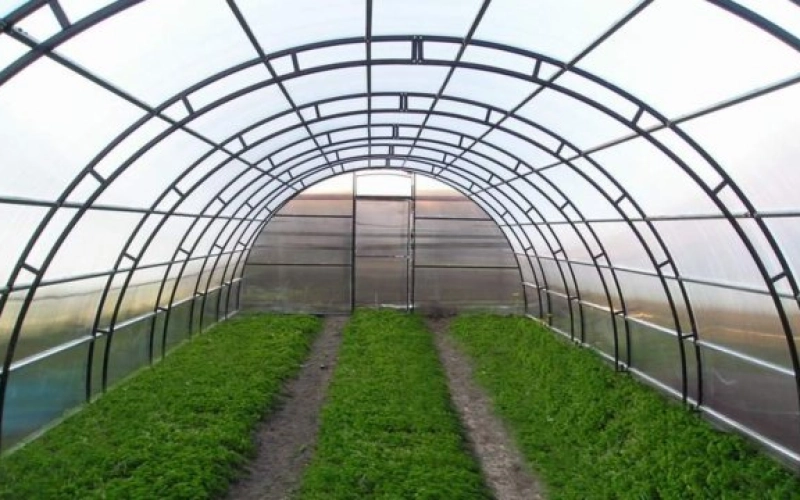 Промышленные теплицы: конструктивные особенности и ассортимент сооружений