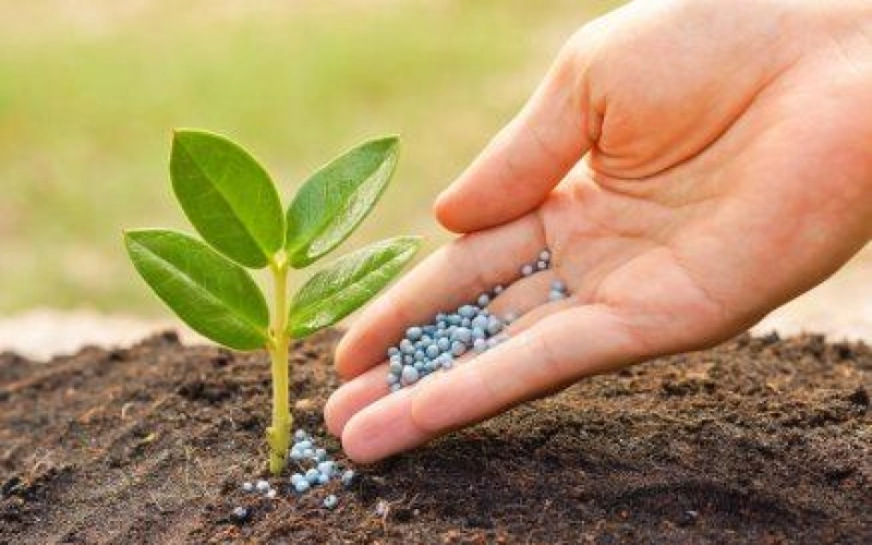 Как правильно выбрать удобрения