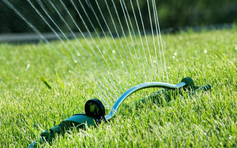 Капельное орошение как эффективный способ полива растений