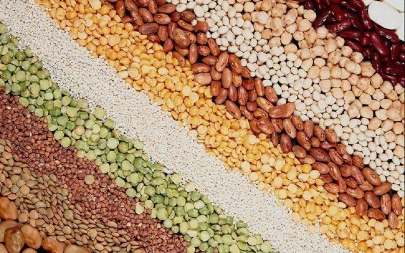 Покупка семян