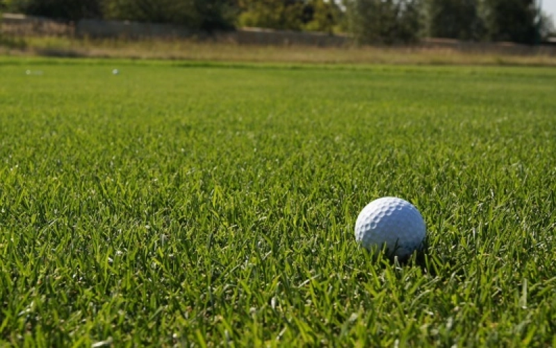 Рулонные газоны для обустройства спортивных площадок