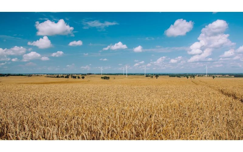 Неделя праздника работников сельского хозяйства ознаменовалась высоким Урожаем