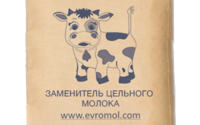 Сыворотка сухая: особенности применения и производства