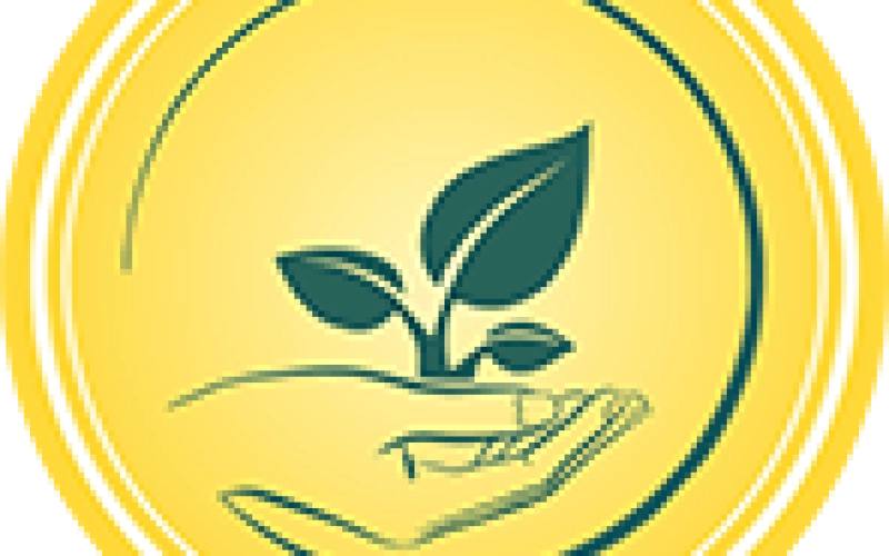 Рассадные кассеты и горшки из полистирола: преимущества эксплуатации Рассадные кассеты и горшки из полистирола: преимущества эксплуатации