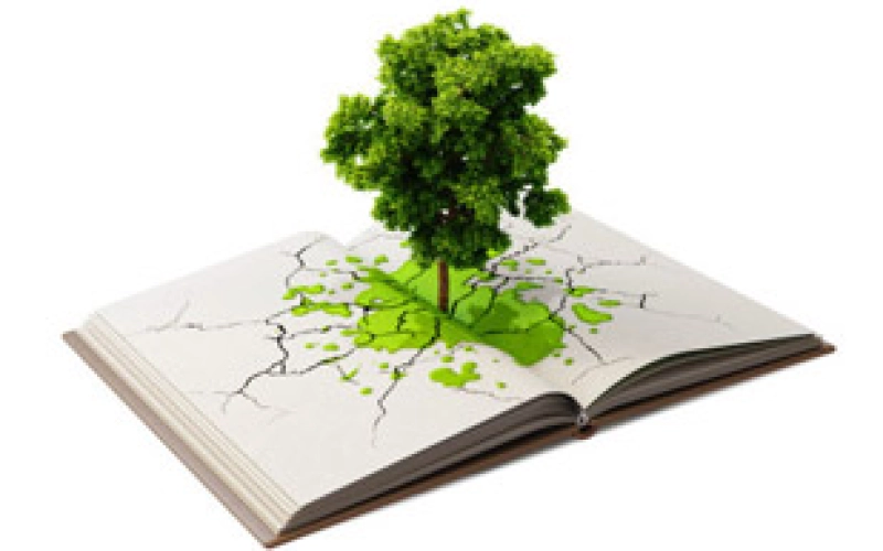 Классификация и виды минеральных удобрений