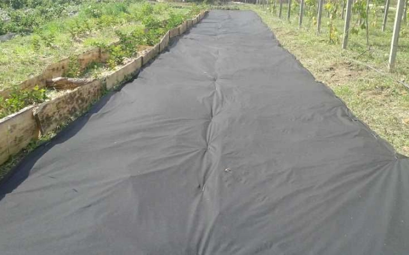 Агроволокно: типы, назначение, особенности использования