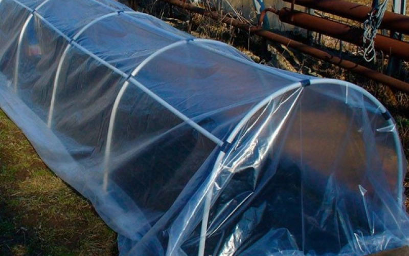 Парники для огурцов: как организовать