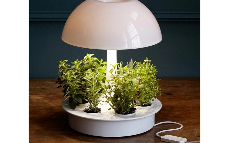 Фитосветильники для подсветки растений Фитосветильники для подсветки растений