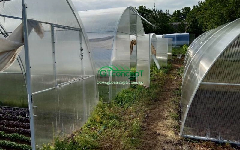 Органическое земледелие в теплице