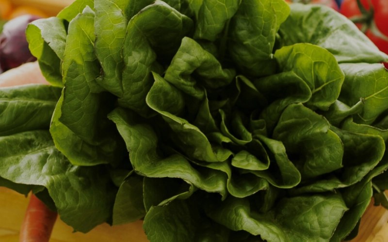 Электронная бизнес-площадка для аграриев: покупать и продавать оптом – просто