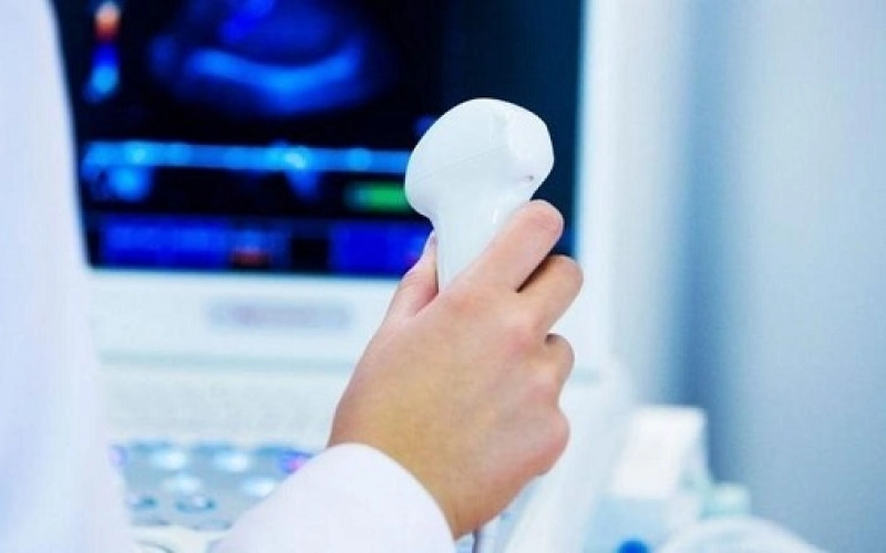 Лучшие ветеринарные УЗИ аппараты в Украине