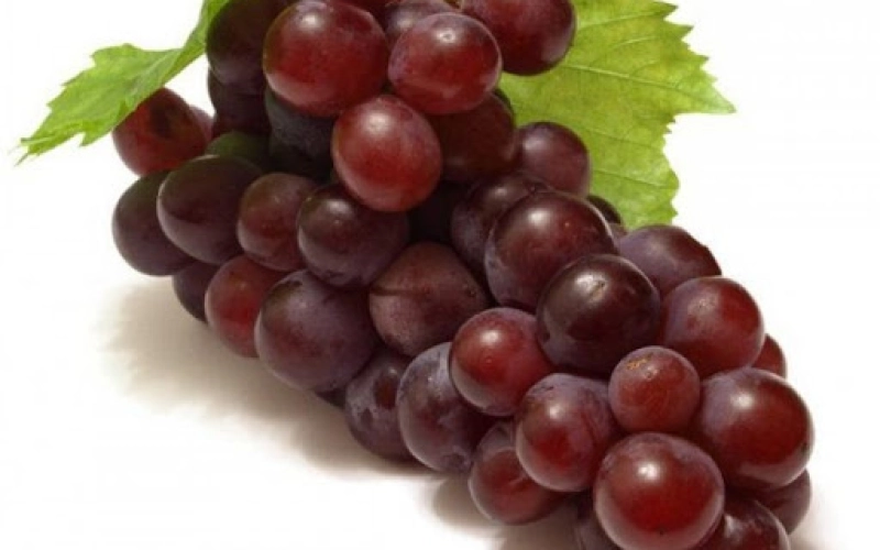 Виноград Низина – морозостойкий столовый сорт с «вишневым» привкусом