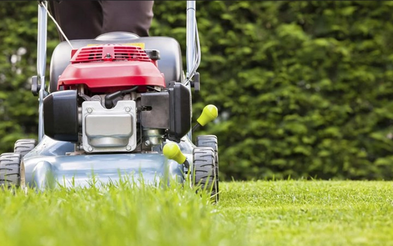 Какая садовая техника нужна для ухода за газоном Какая садовая техника нужна для ухода за газоном