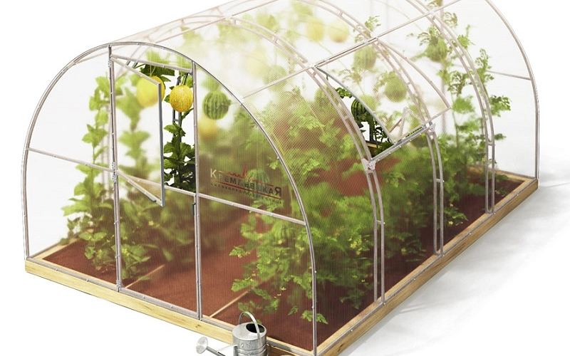 Kremlin Brand Greenhouses: Features and Advantages