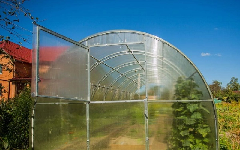 Теплицы из поликарбоната: разновидности и преимущества