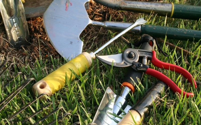 7 самых необходимых ручных инструментов для сада и огорода