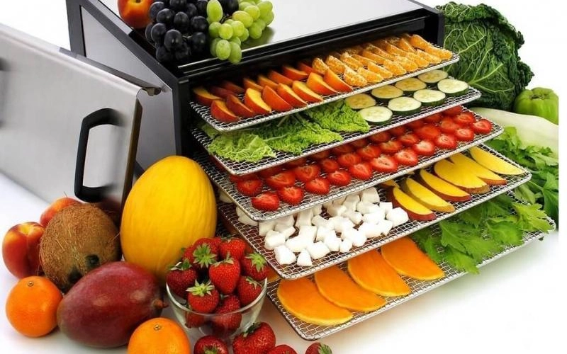 Как выбрать дегидратор для сушки фруктов и овощей