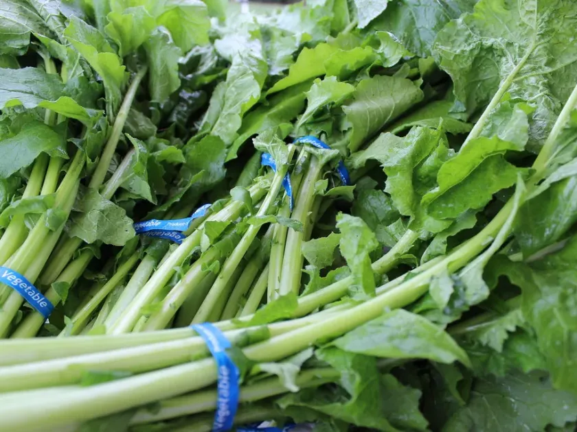 Капуста семиголова