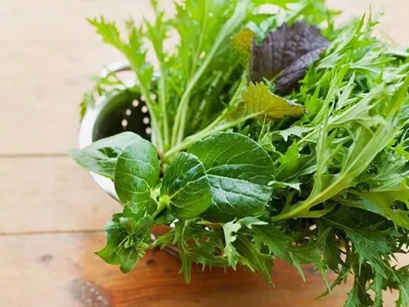 Pak choi and mizuna hybrid