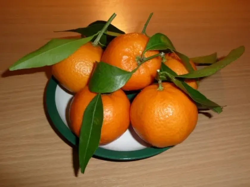 Citrus suhuiensis