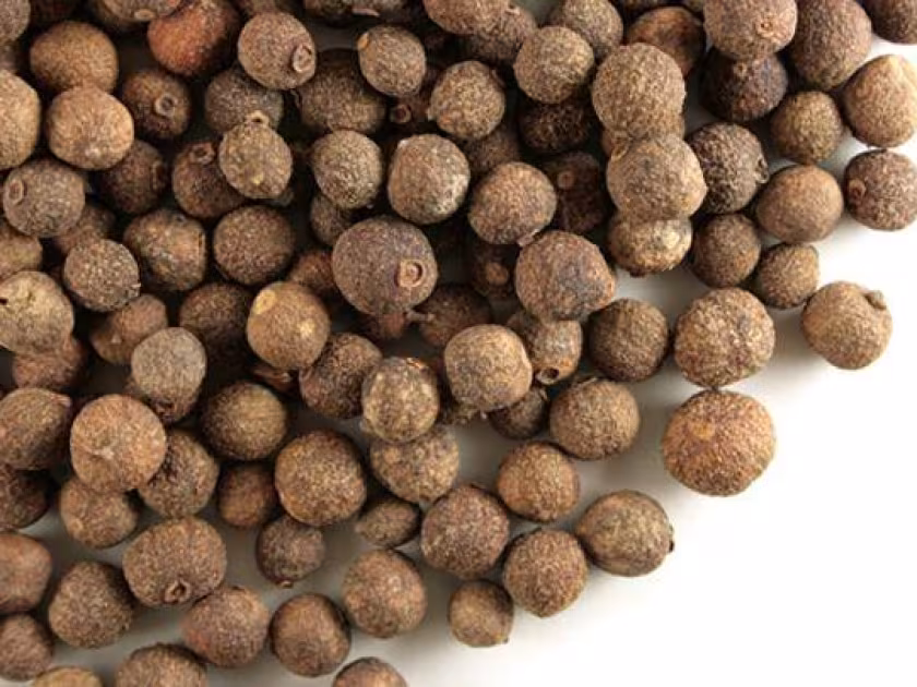 Jamaican pepper