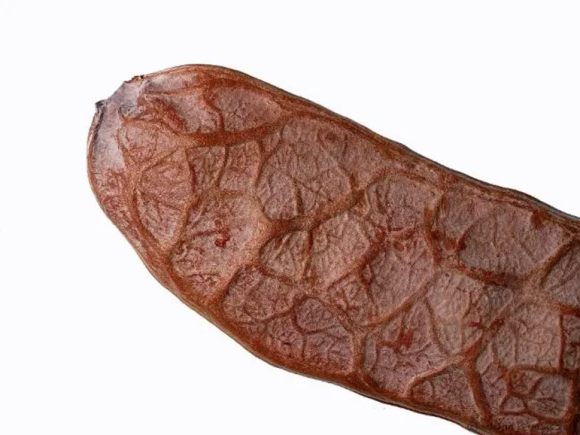 Акація Данна