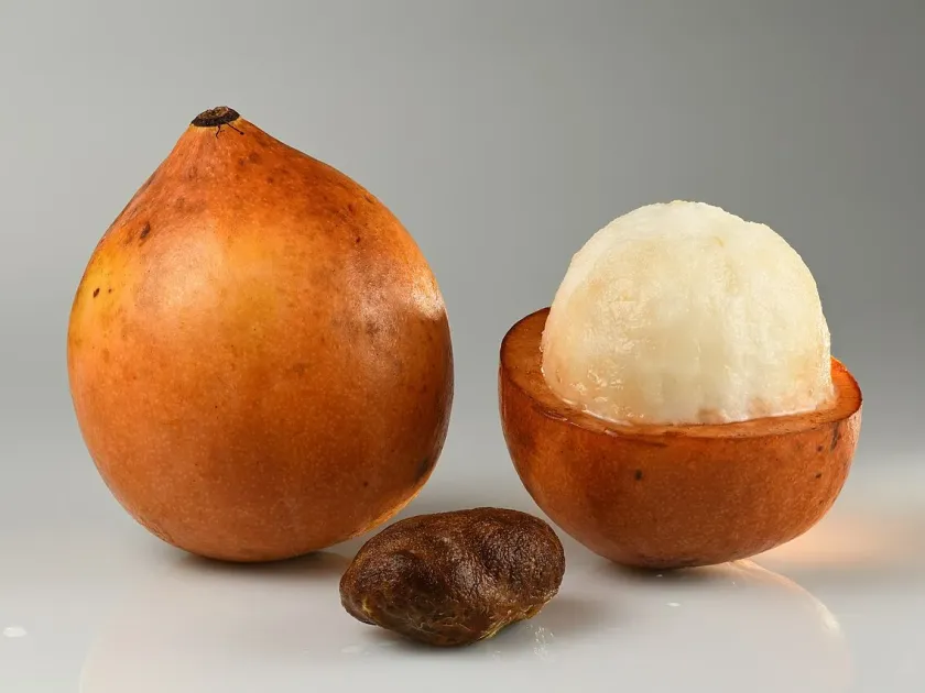 Garcinia humilis