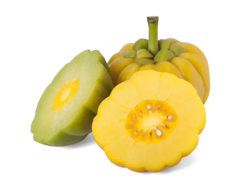 Garcinia gummi-gutta
