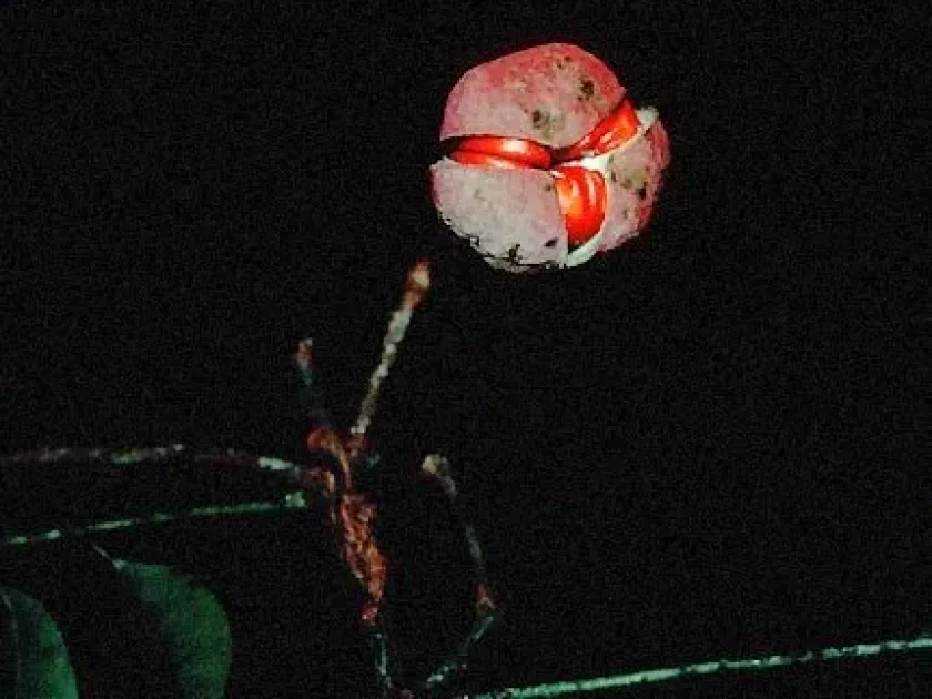 Trichilia gilgiana