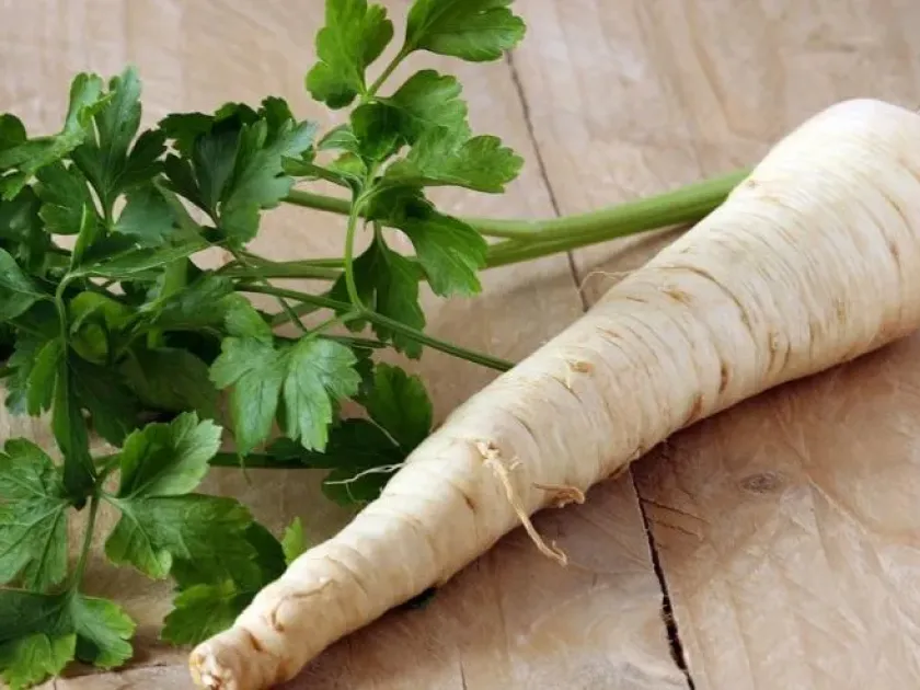 Curly parsley