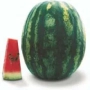 Арбуз Трофі F1 — цілий плод і наріз