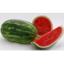 Арбуз целиком и нарезанный на дольки - ДАЙТОНА F1