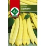 Пакет семян фасоли сорта Capitano от производителя ZKI - Каприка