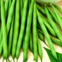Свежие зеленые стручки фасоли без упаковки или этикетки - Дельфина