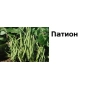 Зелёная фасоль сорта Патион на грядке