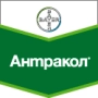Зеленая этикетка с логотипом Байер и названием продукта Антракол - Антракол 70 WР