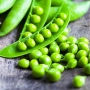 Свежий зеленый горошек в стручках и рассыпанный на поверхности - Винко