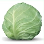 Свежая капуста Акира F1